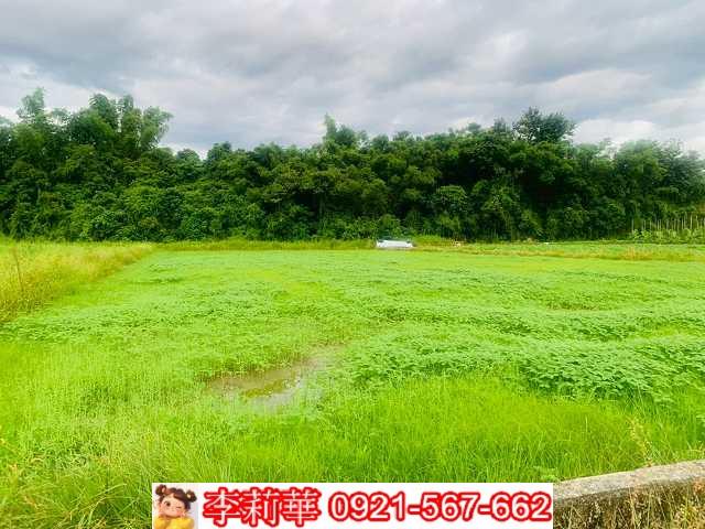 杉林農地-4