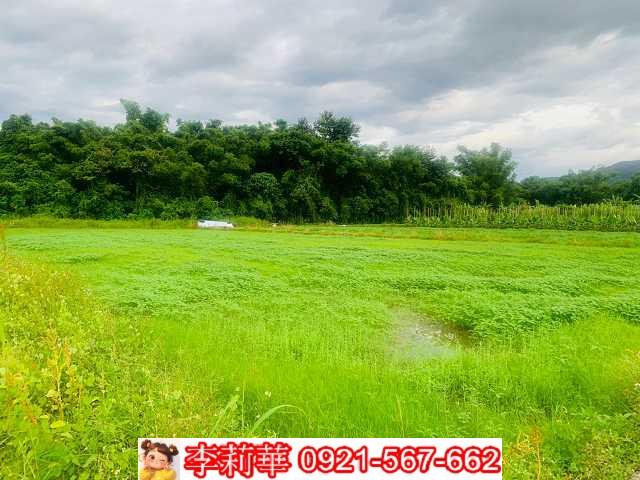 杉林農地-5