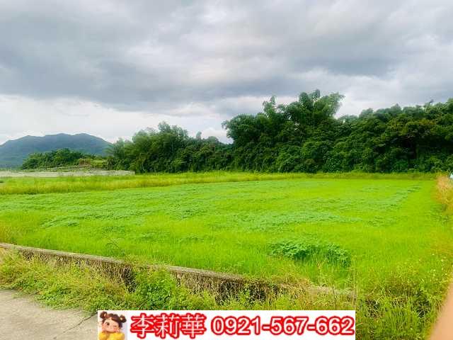 杉林農地-6