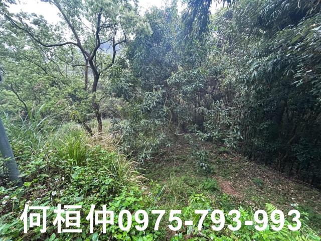 苗栗銅鑼休閒地-4