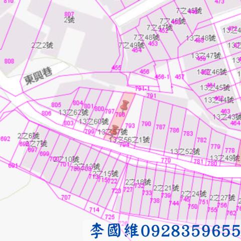 竹山法拍建地-2