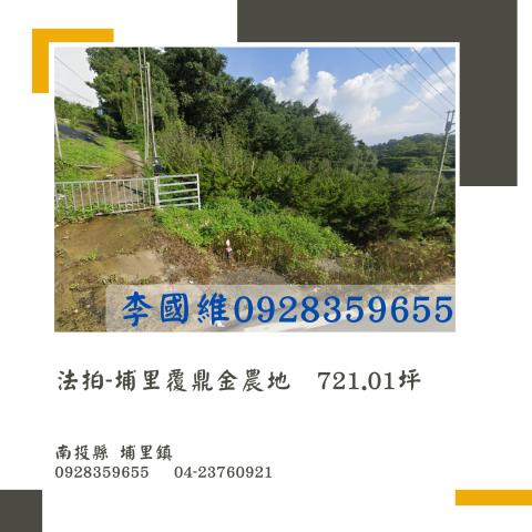 埔里拍賣農地-0