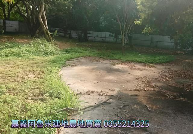 番路農地-1