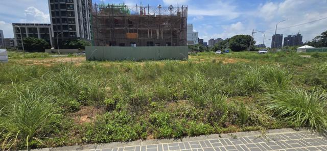 桃園建地-1