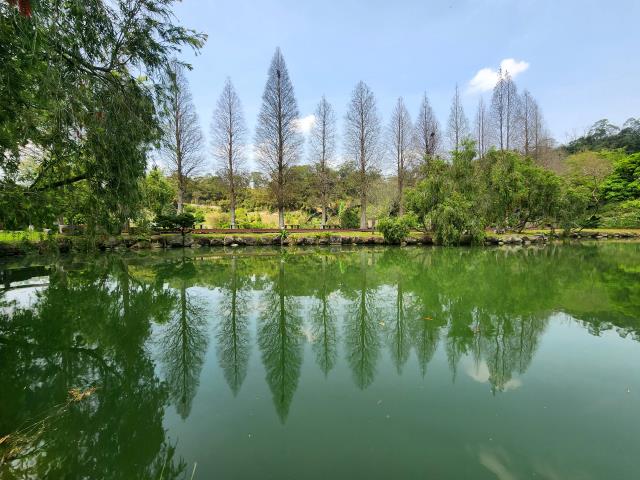新竹北埔農地-9