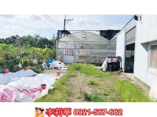 高雄燕巢農地-1