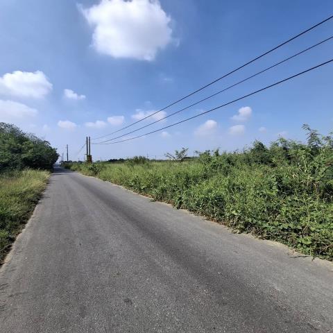 台南新市農地-7