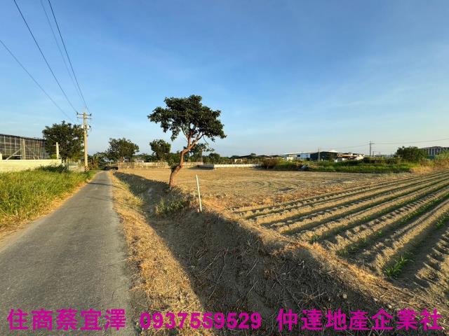 歸仁農地-0