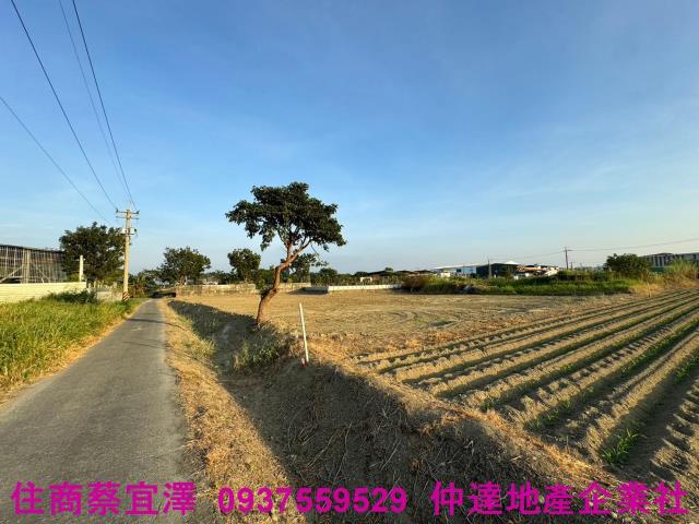歸仁農地-1