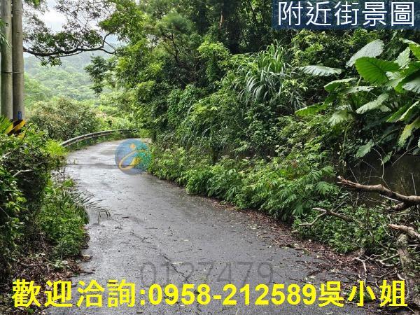 南庄山坡地-9