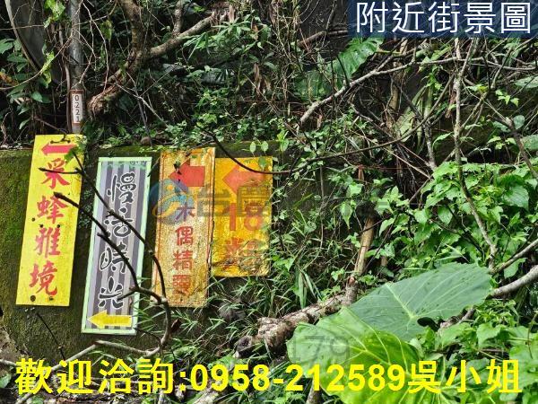 南庄山坡地-10