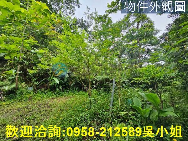 南庄山坡地-1