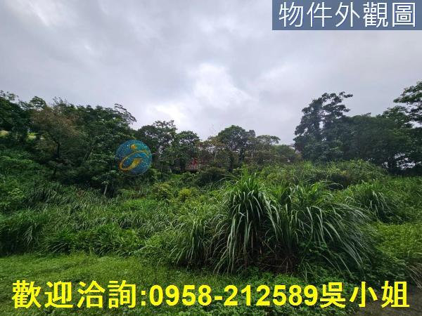 南庄山坡地-2
