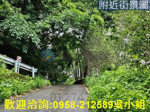 南庄山坡地-7