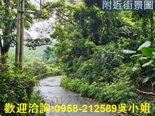 南庄山坡地-8