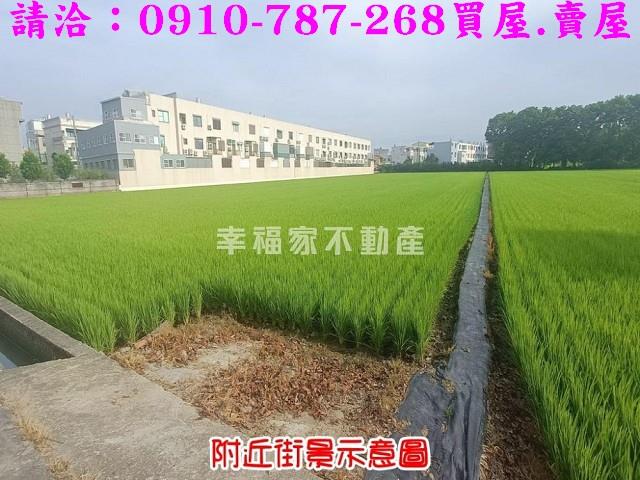 台南六甲農地-4