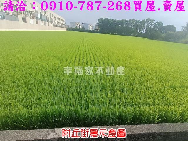 台南六甲農地-7