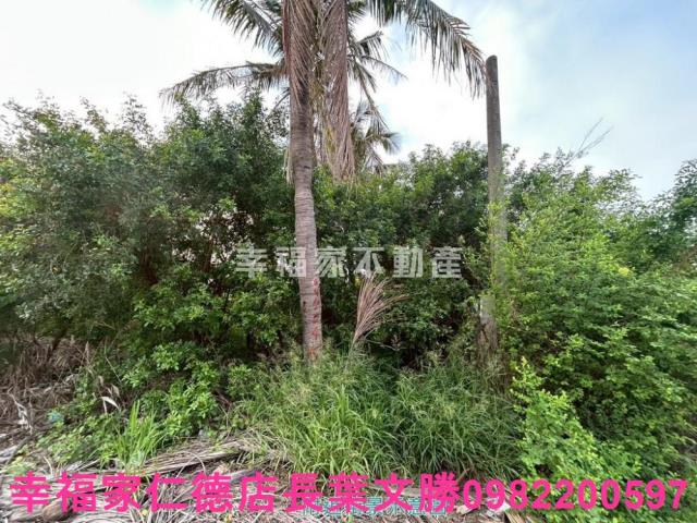 安南農地-0