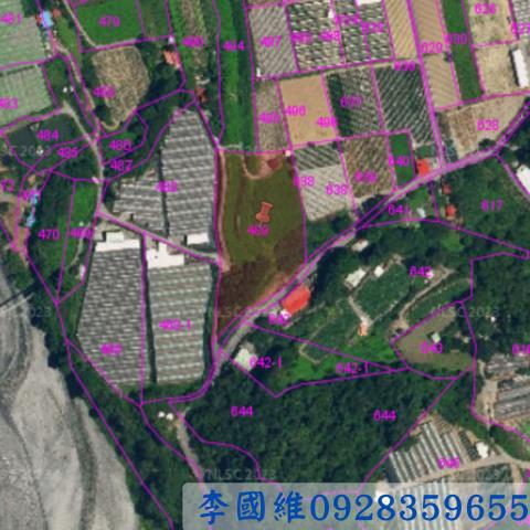仁愛鄉農地法拍-2