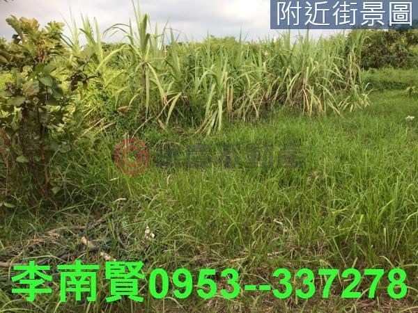 台南農地-7