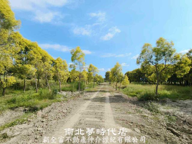 台南六甲農地-4