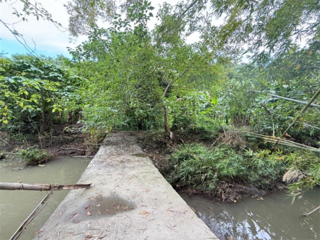 高雄旗山山坡地-4