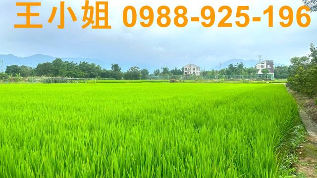 桃園龍潭農地-5