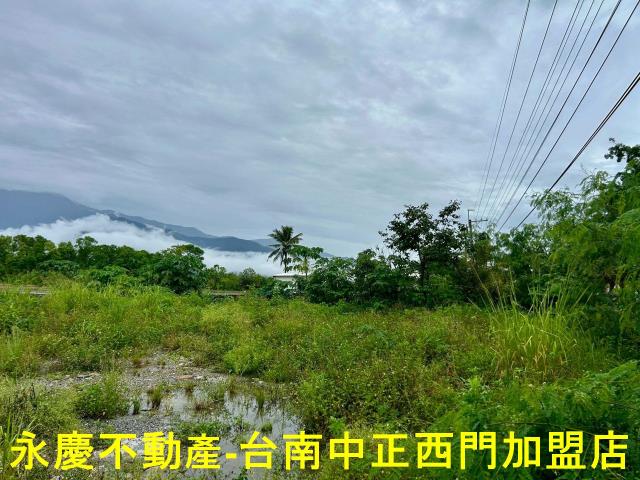 池上農地-5