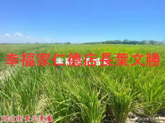 西港農地-8
