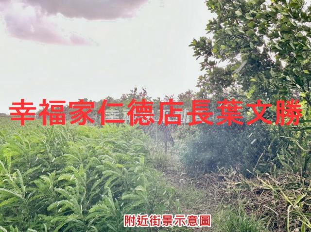 善化農地-7