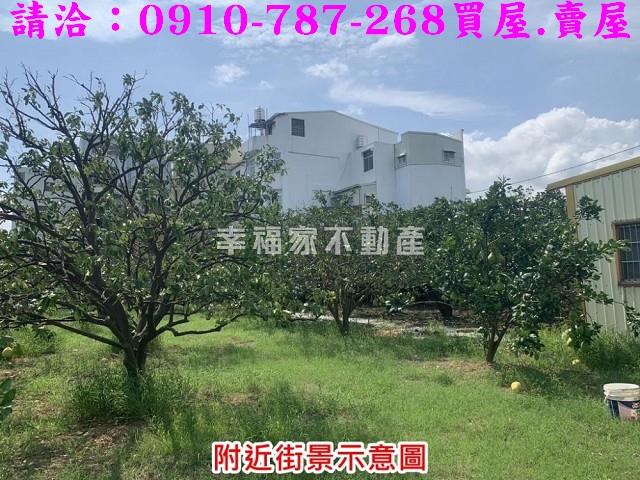 麻豆農地-5