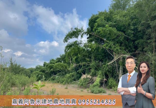 嘉義農地-0