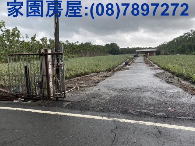 屏東農地-1