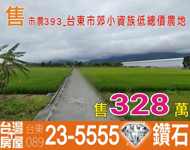 台東農地-0