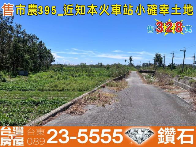 台東市農地-0
