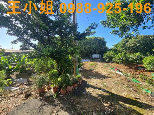 八德農地-0