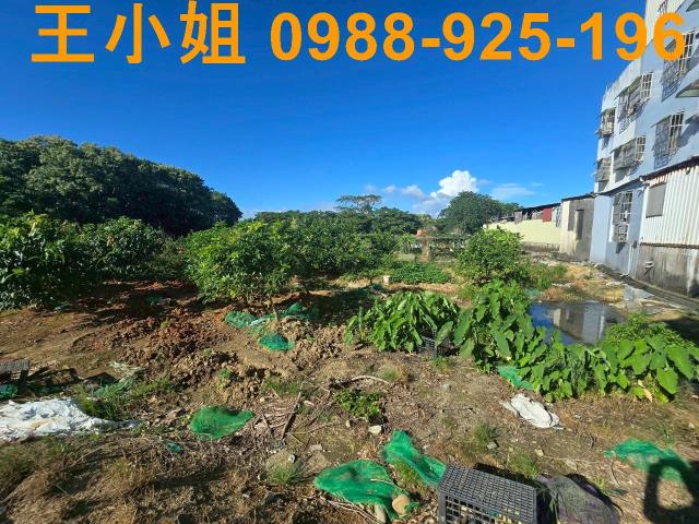 八德農地-7