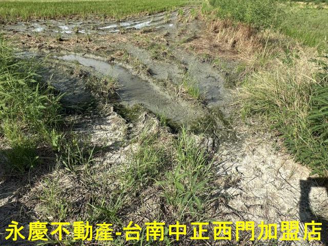 台南仁德農地-0