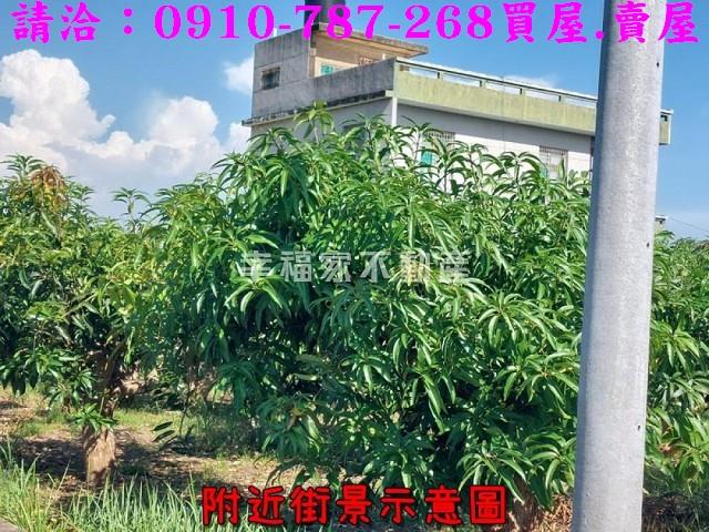 南區農地-2
