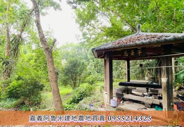 竹崎農地-7