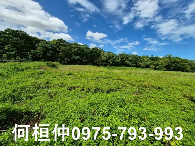 銅鑼農地-5