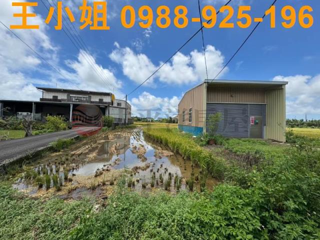 中壢農地-12
