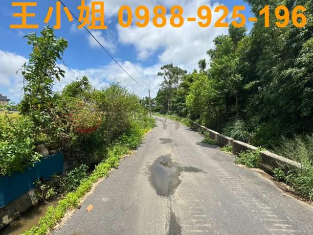 中壢農地-8