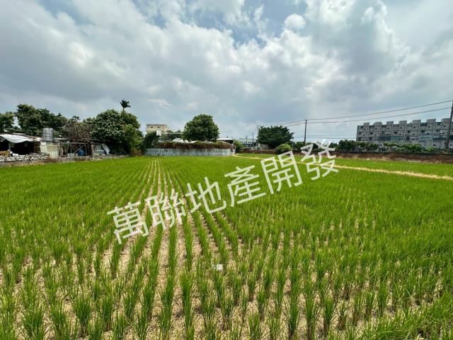 潭子農地-7
