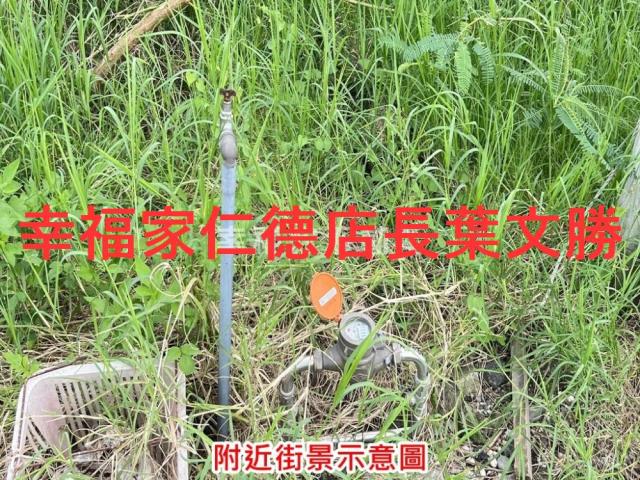 麻豆農地-12