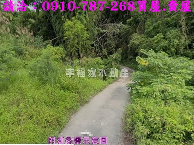 台南農地-7