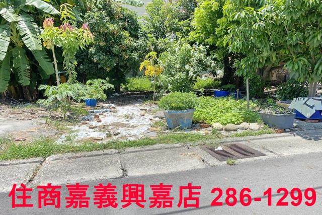 雲林商業地-4
