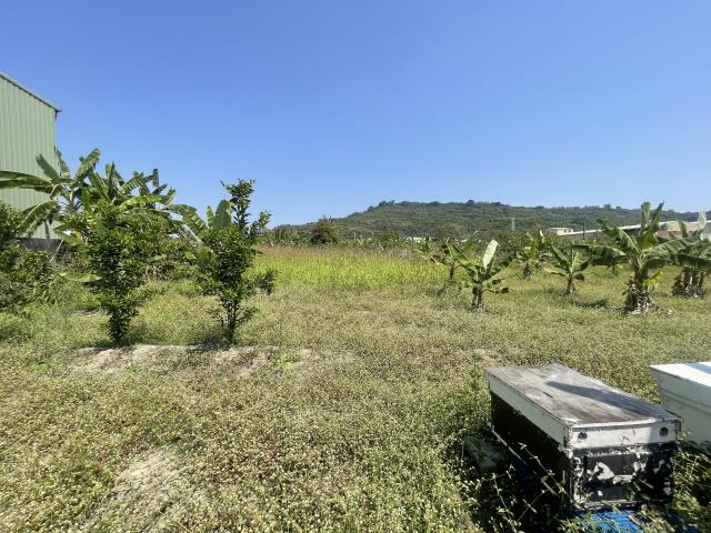 岡山農地-9