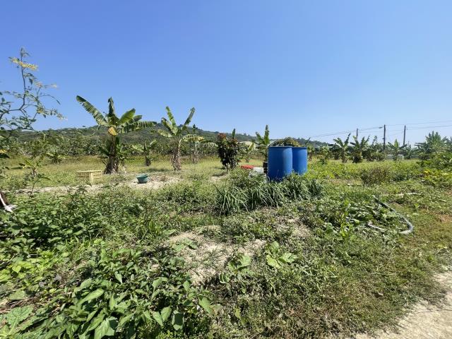岡山農地-10