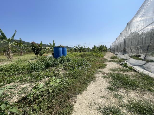 岡山農地-11